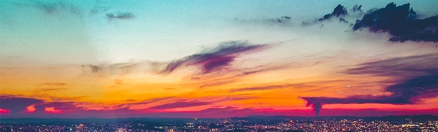 保亭茶虫网_保亭品茶